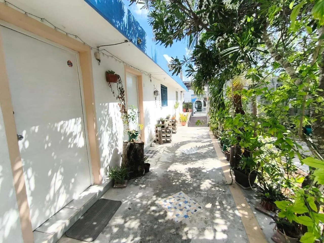 Comfy Studio Yaxkin On Downtown, 3 Block Away From Sea And Sunsets Cozumel Apartment