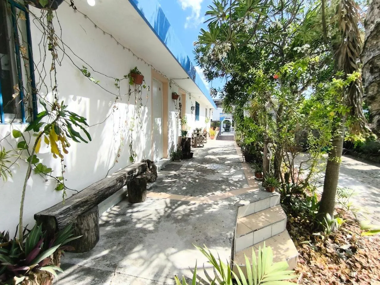 Comfy Studio Yaxkin On Downtown, 3 Block Away From Sea And Sunsets Cozumel