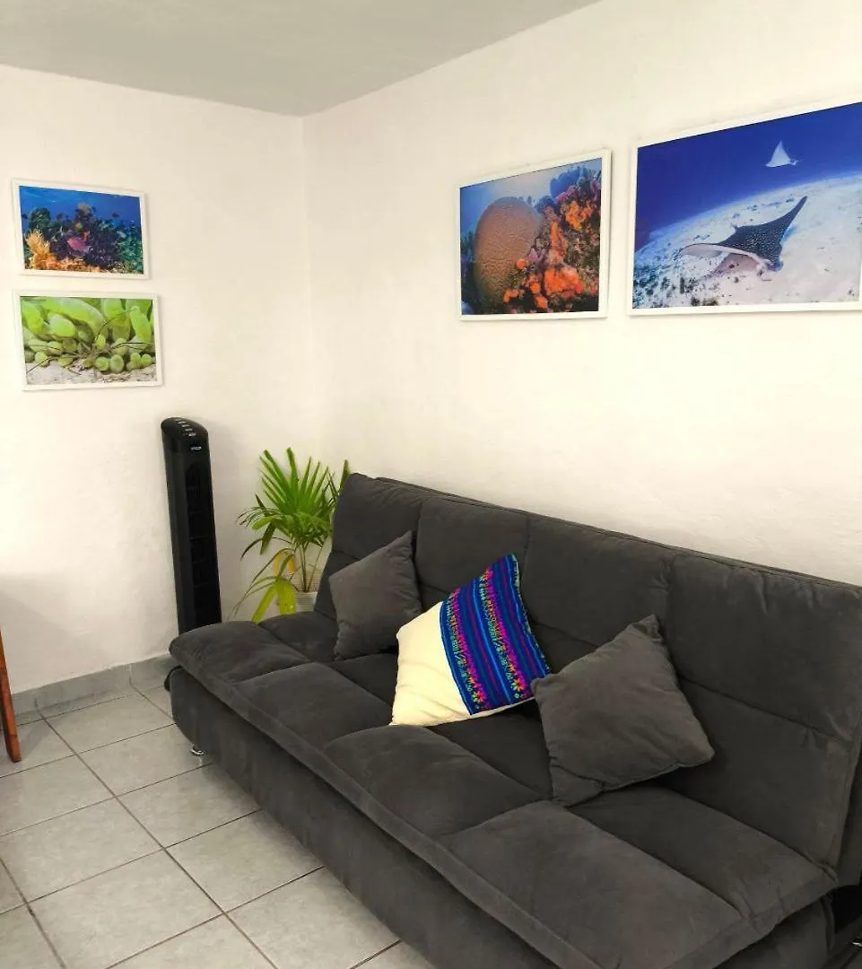 Apartment Comfy Studio Yaxkin On Downtown, 3 Block Away From Sea And Sunsets Cozumel Mexico