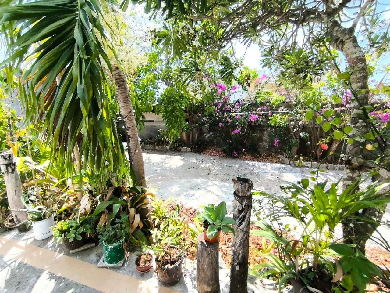 Comfy Studio Yaxkin On Downtown, 3 Block Away From Sea And Sunsets Cozumel Apartment