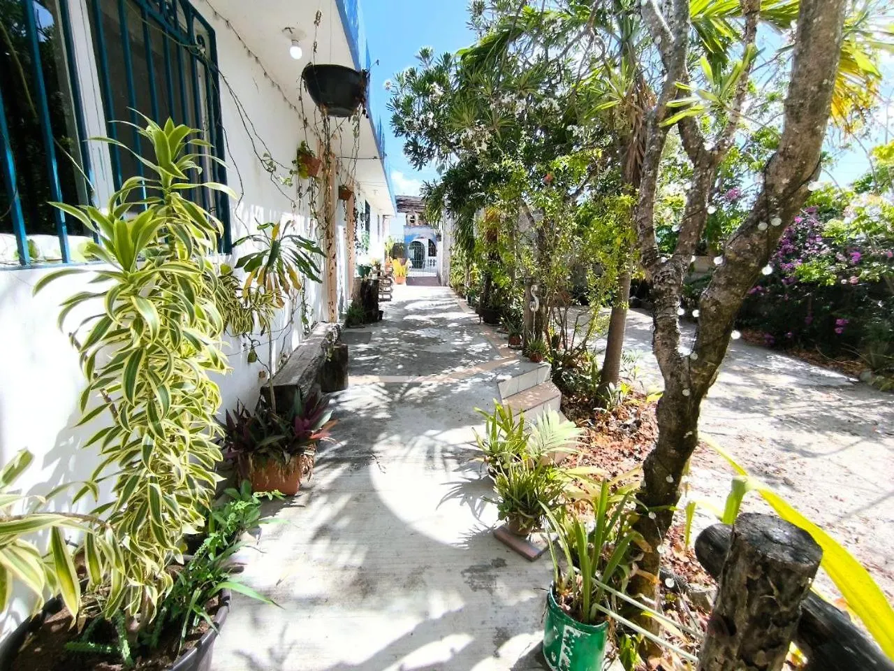 Comfy Studio Yaxkin On Downtown, 3 Block Away From Sea And Sunsets Cozumel Apartment