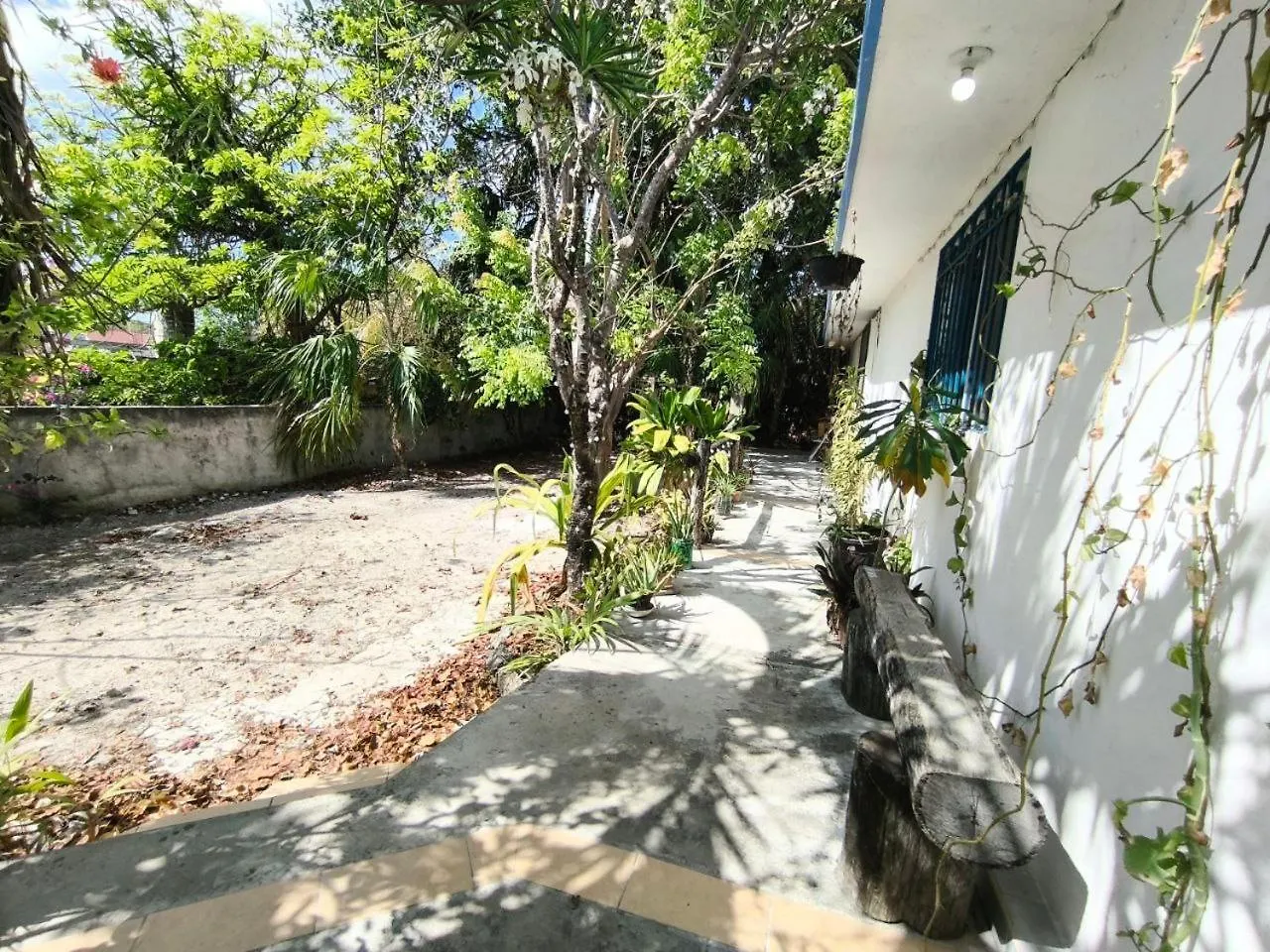Comfy Studio Yaxkin On Downtown, 3 Block Away From Sea And Sunsets Cozumel