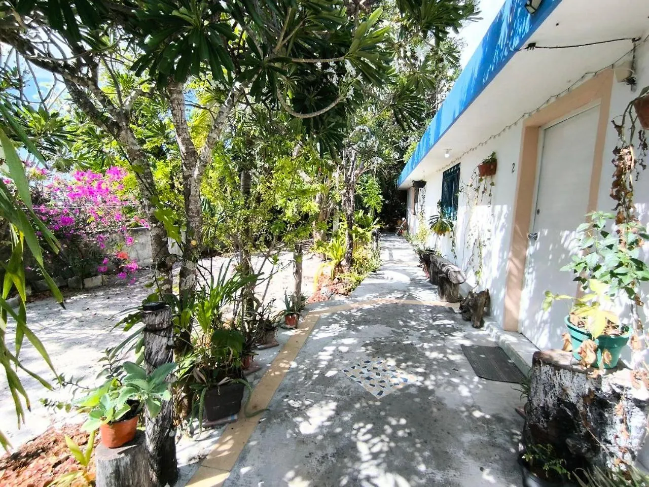 Comfy Studio Yaxkin On Downtown, 3 Block Away From Sea And Sunsets Cozumel Mexico