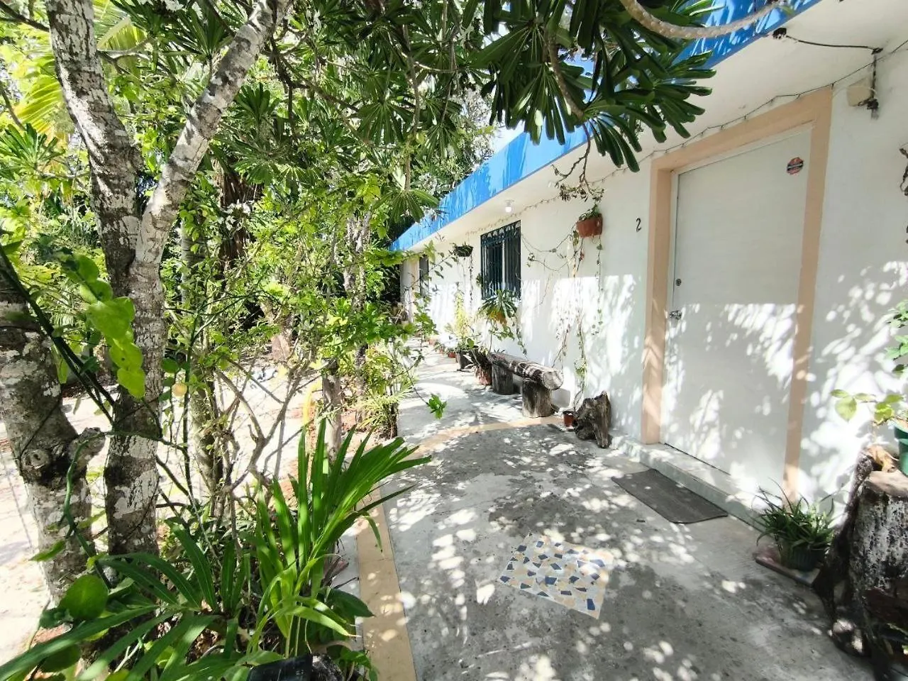 Comfy Studio Yaxkin On Downtown, 3 Block Away From Sea And Sunsets Cozumel 0*,  Mexico